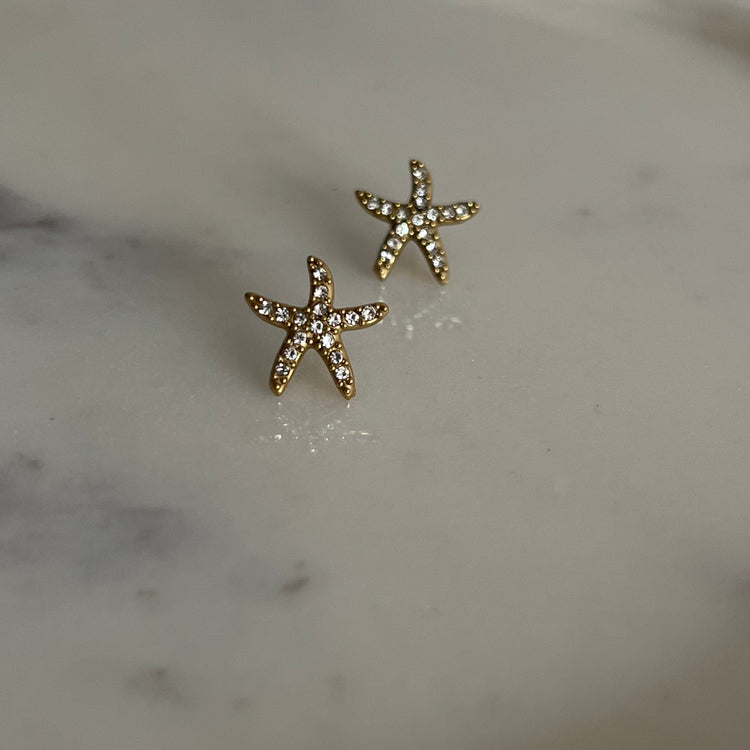 Starfish Studs