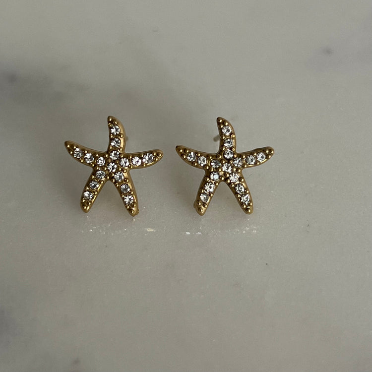 Starfish Studs